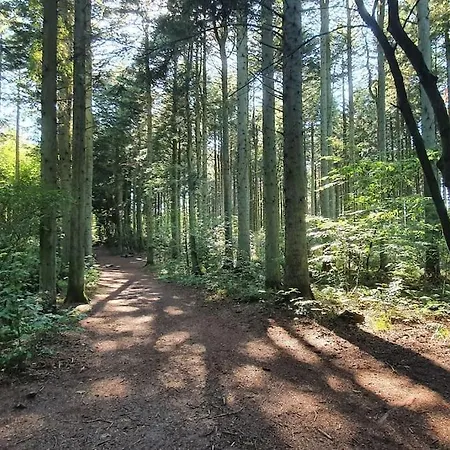 By Hus Blokhus-hune Til 10 Pers Privat Gardhave Blokhus