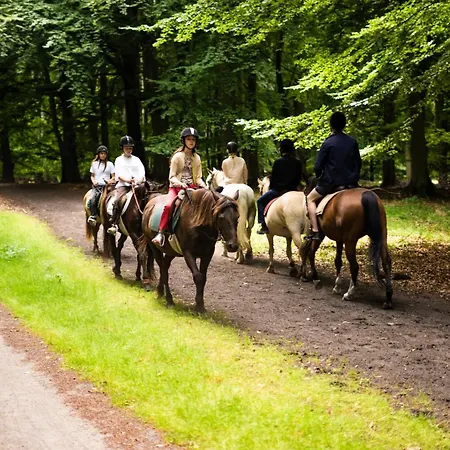 By Hus Blokhus-hune Til 10 Pers Privat Gardhave Vakantiehuis *