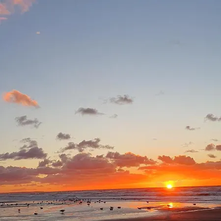 By Hus Blokhus-hune Til 10 Pers Privat Gardhave *