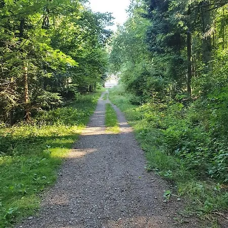 Vakantiehuis By Hus Blokhus-hune Til 10 Pers Privat Gardhave Blokhus
