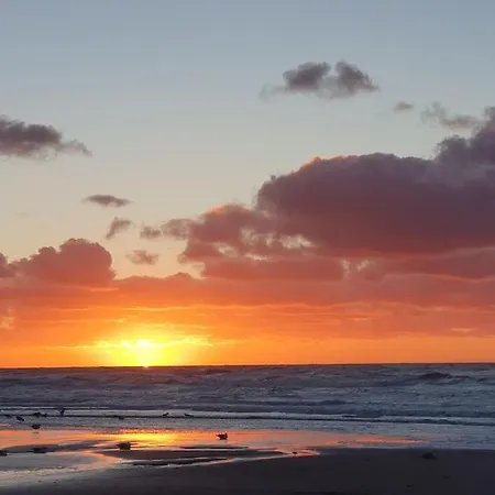 By Hus Blokhus-hune Til 10 Pers Privat Gardhave Vakantiehuis *