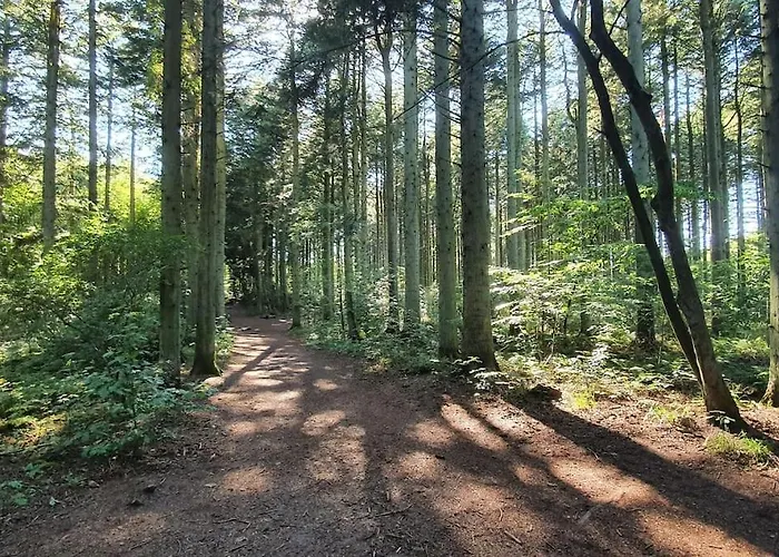 By Hus Blokhus-hune Til 10 Pers Privat Gardhave Blokhus