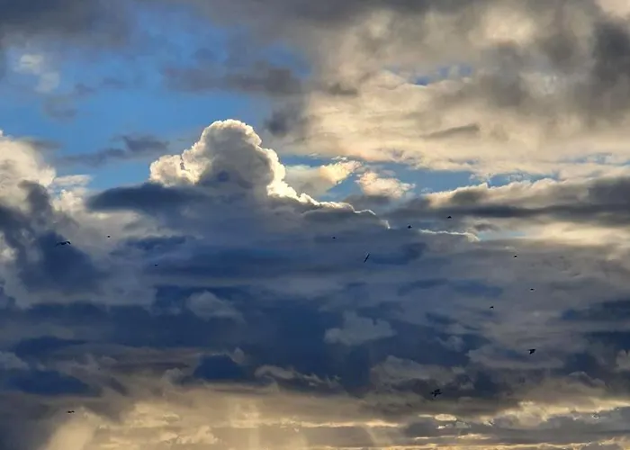 By Hus Blokhus-hune Til 10 Pers Privat Gardhave *