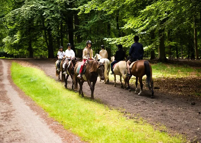 By Hus Blokhus-hune Til 10 Pers Privat Gardhave Ferienhaus *