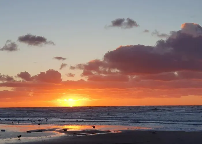 By Hus Blokhus-hune Til 10 Pers Privat Gardhave Ferienhaus *